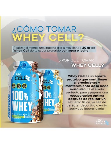 Batido de proteína concentrada Whey Cell - Procell Sport