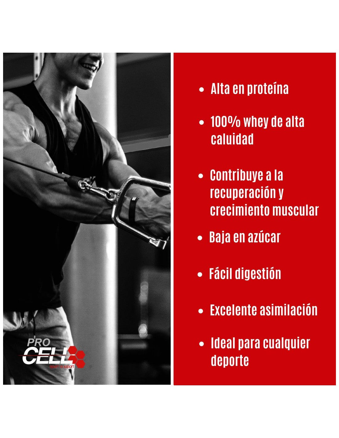Whey Core - Proteina Concentrada de Suero de Leche